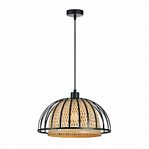 Подвесной светильник ARTE LAMP WOODSTOCK A7071SP-1BK