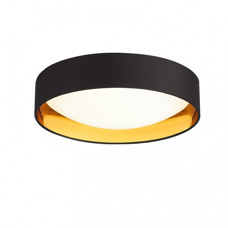 Потолочный светильник Evoluce ORBIO / ОРБИО SLE201102-01